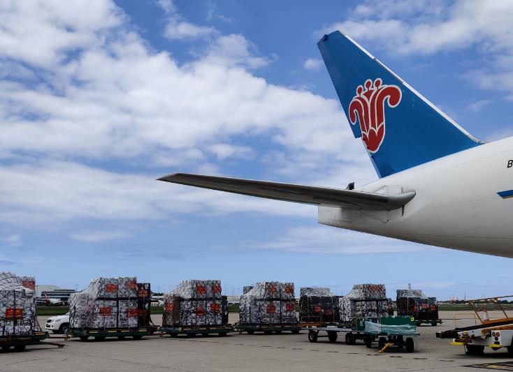 Focus on logistics newsletter-South Cargo Airlines opened a freight route