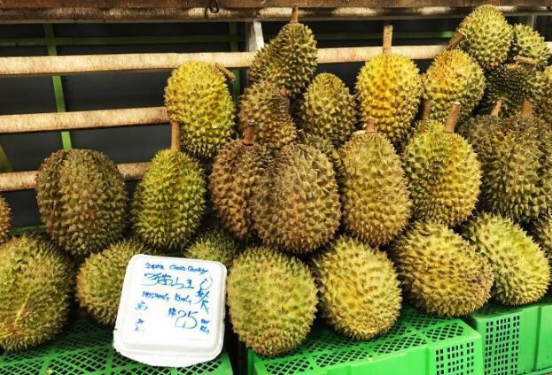 International Business Newsletter--Malaysian durian is expected to be exported to China next year