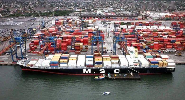 Focus on logistics newsletter- Bumper harvest and lower water level, Brazilian ports are blocked