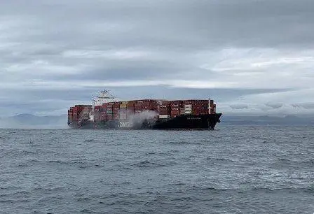 Focus on logistics newsletter-Vietnam International Shipping Container Ship Sinks