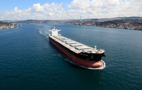 Focus on logistics newsletter-The world's largest international dry bulk carrier owner was born