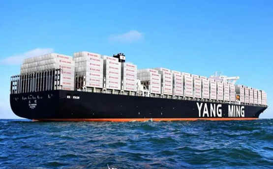 Focus on logistics newsletter-Yangming Shipping Upgraded SA3 Route and Launched SA5 Route